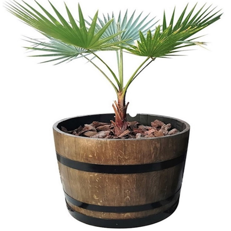 HALF BARREL PLANTER
